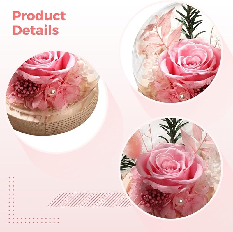 الورود الحمراء المحفوظة الأبدية في قبة زجاجية مع قاعدة خشبية لتزيين الزهور - Image 5